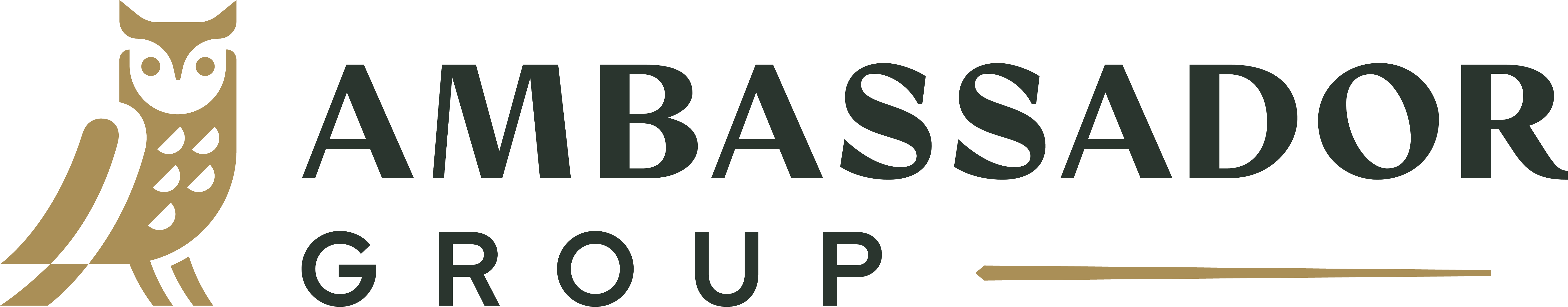 Ambassador Group